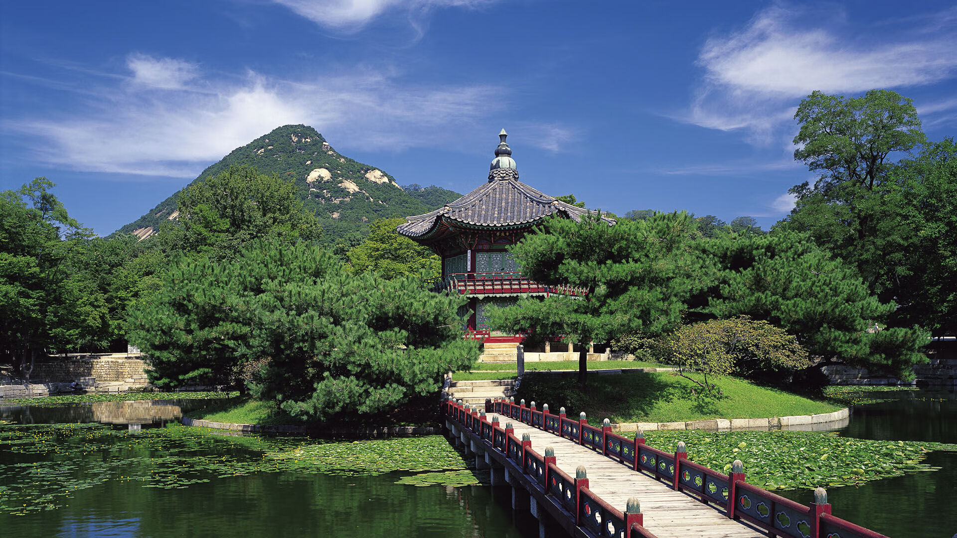 世界举重康复在线互动课堂学员成果展示周启动，世界举重比赛